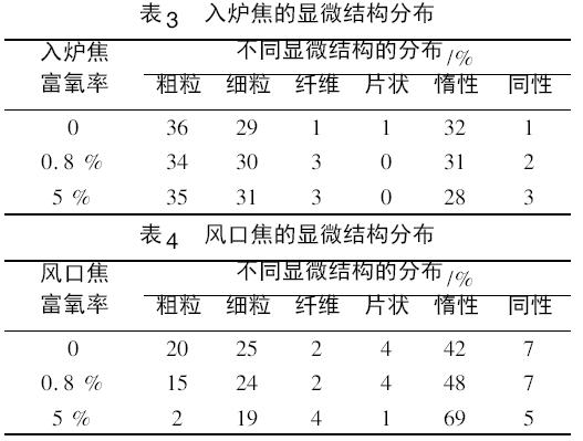 图片19