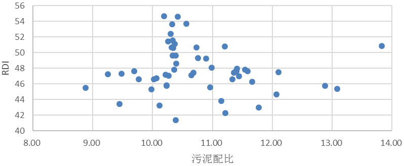 图片11